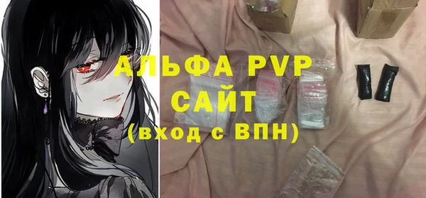 мяу мяу мука Иннополис