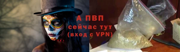 мяу мяу мука Иннополис