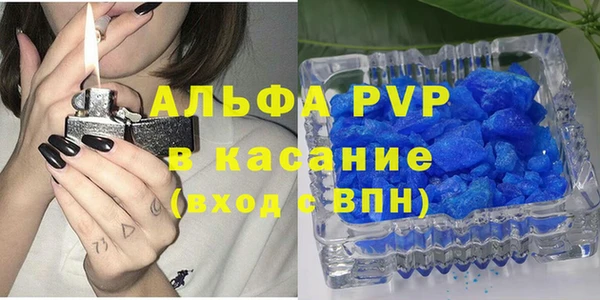 мяу мяу мука Иннополис