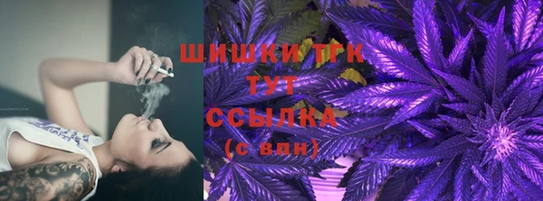 мяу мяу мука Иннополис
