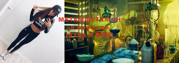 мяу мяу мука Иннополис